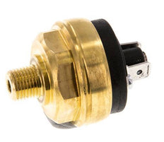 0.2 to 2bar NC Brass Pressure Switch M10 42VAC/DC Flat Connector