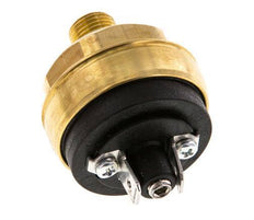 0.2 to 2bar NC Brass Pressure Switch M10 42VAC/DC Flat Connector