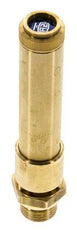 G 1/2'' Brass Pre-Set Safety Valve 47 bar (681.69 psi) DN 10