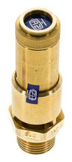 G 1/2'' Brass Pre-Set Safety Valve 8.2 bar (118.93 psi) DN 10