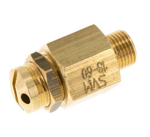 G 1/8'' Brass Adjustable Safety Valve 30-60 bar (435.11-870.22 psi)