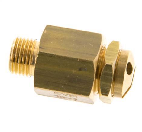 G 1/8'' Brass Adjustable Safety Valve 3-7 bar (43.51-101.53 psi)