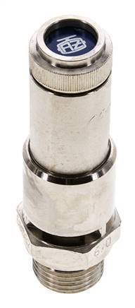 G 1/2'' Nickel-plated Brass Pre-Set Safety Valve 6 bar (87.02 psi) DN 10