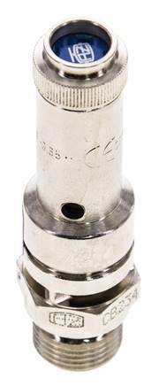 G 3/8'' Nickel-plated Brass Pre-Set Safety Valve 0.6 bar (8.7 psi) DN 8