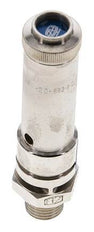 G 1/4'' Nickel-plated Brass Pre-Set Safety Valve 21 bar (304.58 psi) DN 8