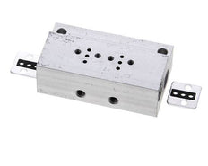 Manifold 2-Station YPC YSV20