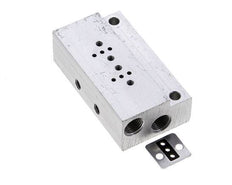 Manifold 2-Station YPC YSV20