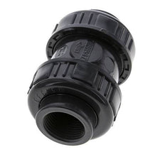 PVC Check Valve Rp 1'' 0.012-16bar (0.17-232psi)