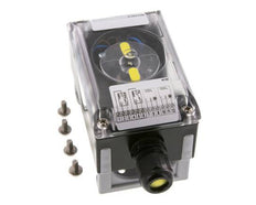 Standard Limit Switch Box DPDT Micro Switch 250VAC/10A - 12-250VDC/2.5A
