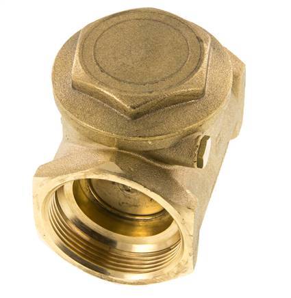 G 2'' Brass Swing Check Valve 10 bar (145 psi) Metal Seal