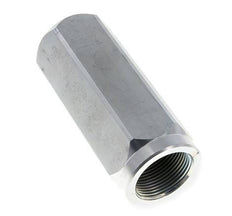 G 1-1/4'' Hydraulic Check Valve Steel 3-300 bar (43.5-4350 psi)