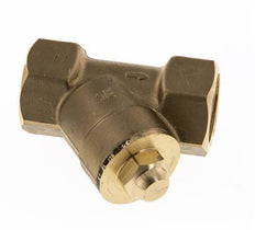 Rp 1-1/4'' Brass Y Check Valve 16 bar (232 psi) FKM
