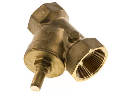 Rp 1-1/2'' Brass Y Check Valve 16 bar (232 psi) FKM
