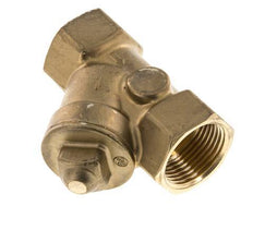 Rp 1'' Brass Y Check Valve 10 bar (145 psi) FKM