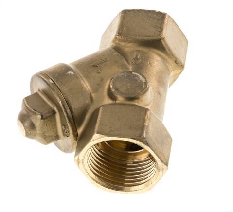 Rp 1'' Brass Y Check Valve 10 bar (145 psi) FKM