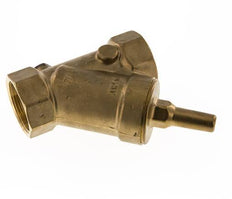 Rp 2'' Brass Y Check Valve 10 bar (145 psi) FKM