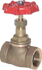 G 2-1/2'' Bronze Globe Valve 16 bar